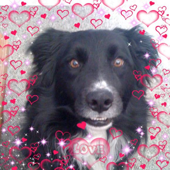 Meet your Posher, Joanna - Picture 1 of 1